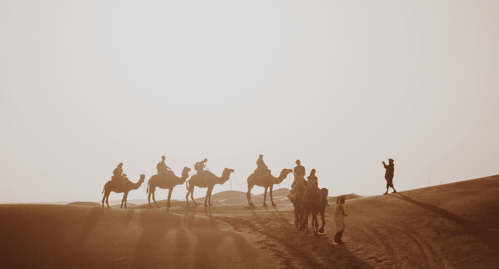 Camels